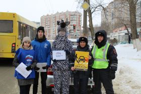 Совместный рейд "Пешеход", проведенный активистами партпроекта "Безопасные дороги" и ГИБДД РМ 25.01.2018