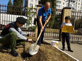 Акция "Аллеи первоклассников"