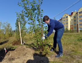 Акция Городская среда - делай добрый дела