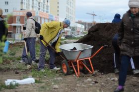 Мероприятие по озеленению. г. Иркутск 23.05.2019