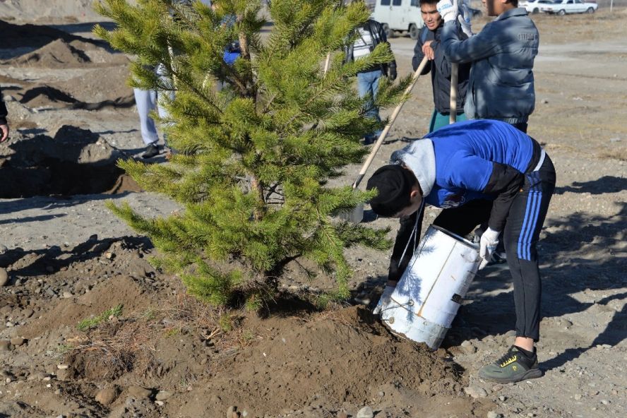 Реализация проекта "Городская среда" в Туве